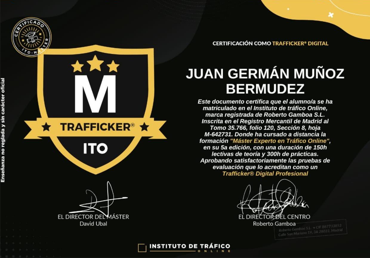 master experto en trafico online